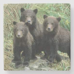 Porta-copo De Pedra Três Filhotes de Urso Pardo ou Coys