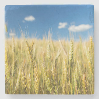 Porta-copo De Pedra Trigo de Kansas