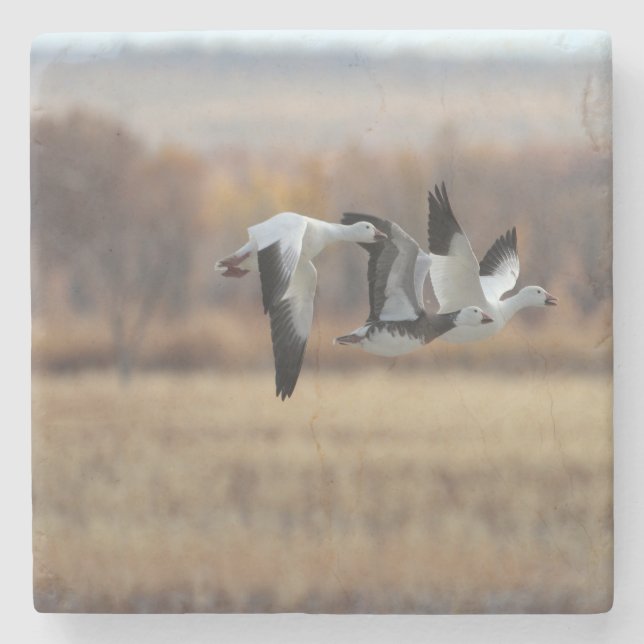 Porta-copo De Pedra Trio De Gansos (Frente)