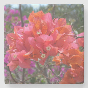 Porta-copo De Pedra Tropical Pink Bougainvillea