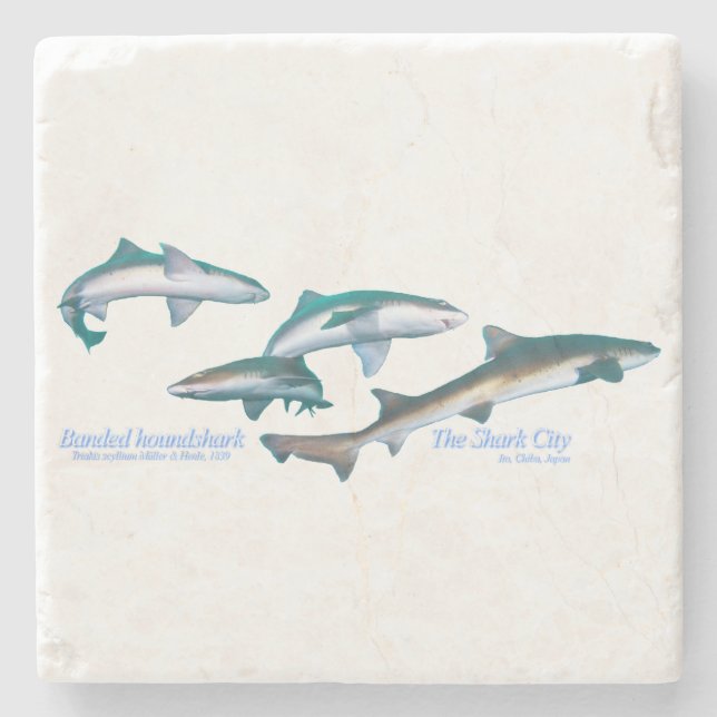 Porta-copo De Pedra Tubarões-de-galeria (Frente)