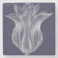 Tulipa monocromática III