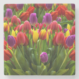 Porta-copo De Pedra Tulipas Bris