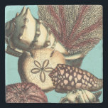 Porta-copo De Pedra Turquesa Shell e Red Coral Collection<br><div class="desc">Vá por debaixo d'água para explorar o mar com todas essas diferentes criaturas marinhas. Esta obra de arte safra é uma adição perfeita a qualquer amante de anêmonas-do-mar com um fundo turquesa vibrante e sotaques vermelhos nas conchas. Pegue seu impressão de arte hoje em dia em seu produto.</div>