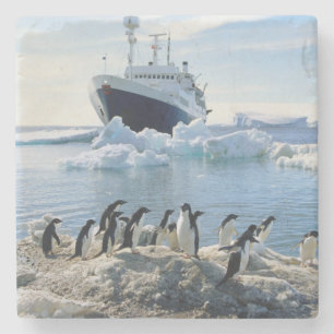 Porta-copo De Pedra Um grupo de pinguins que estão em uma praia gelad