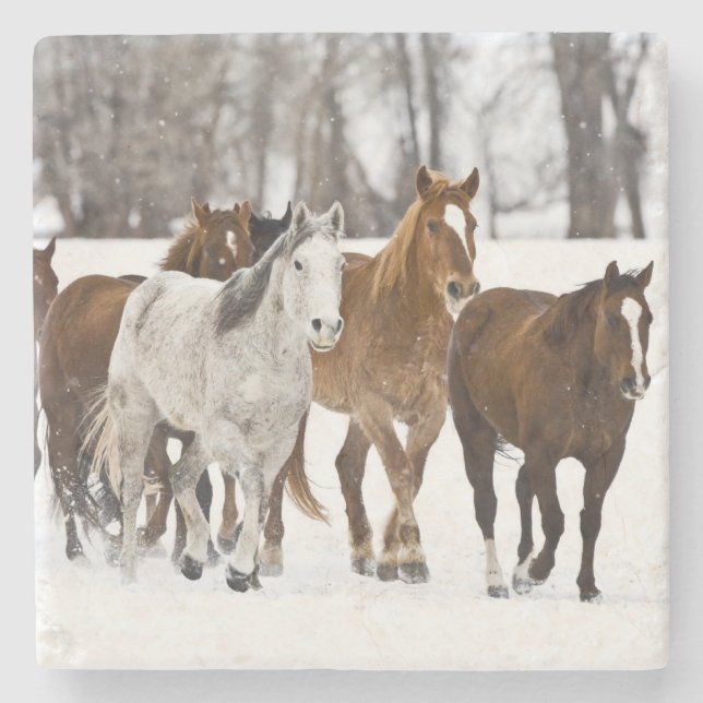 Porta-copo De Pedra Uma cena de inverno de corrida (Frente)