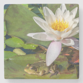 Porta-copo De Pedra Uma rã sob uma flor de nenúfar