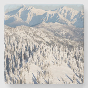 Porta-copo De Pedra Uma vista cénico de montanhas nevado e de árvore
