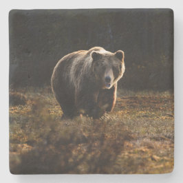 Porta-copo De Pedra Urso