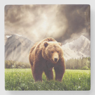 Porta-copo De Pedra Urso da montanha