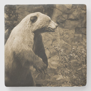Porta-copo De Pedra Urso Orgulhoso