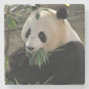 Porta-copo De Pedra Urso panda bonito e gigante