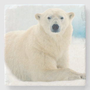 Porta-copo De Pedra Urso polar adulto grande javali no gelo de verão