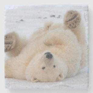 Porta-copo De Pedra urso polar, maritimus do Ursus, filhote que rola 3