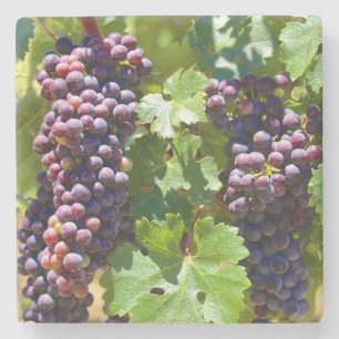 Porta-copo De Pedra Uvas