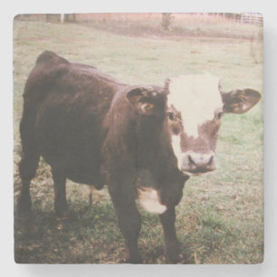 Porta-copo De Pedra Vaca de Creme Castanha