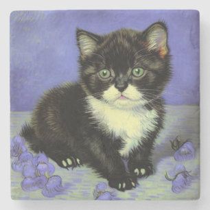 Porta-copo De Pedra Van Gogh Tuxedo Kitten