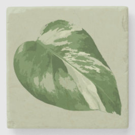 Porta-copo De Pedra Variegated Monstera Leaf – Real Plant Art