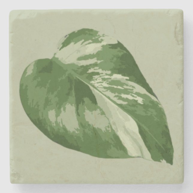 Porta-copo De Pedra Variegated Monstera Leaf – Real Plant Art (Frente)