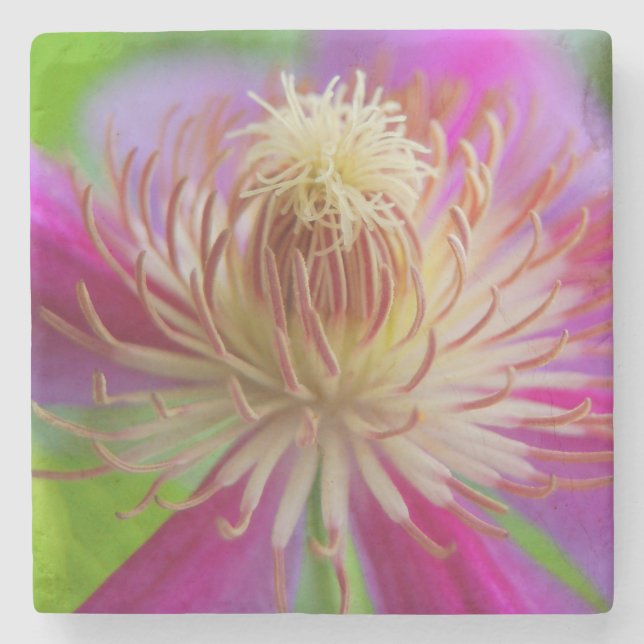 Porta-copo De Pedra Vazio Floral Stone Porta copos (Frente)