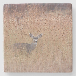 Porta-copo De Pedra Veado no prado