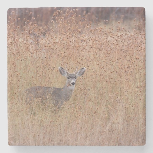Porta-copo De Pedra Veado no prado (Frente)