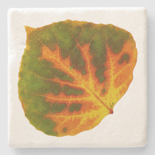 Porta-copo De Pedra Verde Laranja e Amarelo Aspen Folha #1