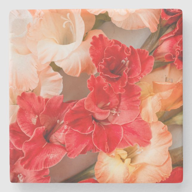 Porta-copo De Pedra Vibrant Gladiolus flowers (Frente)