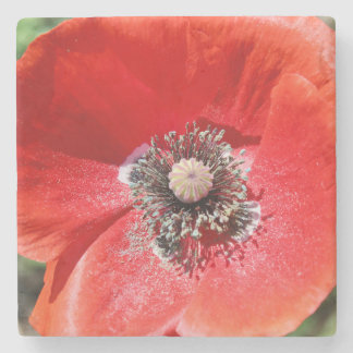 Porta-copo De Pedra Vibrant Red Macro Botanical Poppy Floral