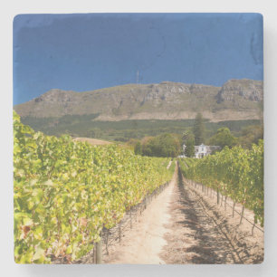 Porta-copo De Pedra Vinícola, Cape Town, Cabo Ocidental, África do Sul