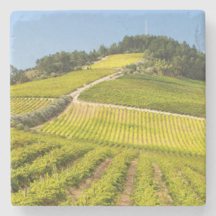 Porta-copo De Pedra Vinícola, Stellenbosch, Cabo Ocidental
