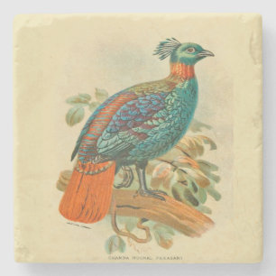 Porta-copo De Pedra Vintage Art Birds Colorful Pheasant Ilustração