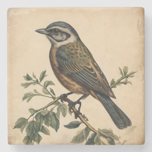 Porta-copo De Pedra Vintage Bird Impressão (Frente)