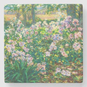 Porta-copo De Pedra Vintage Flores bonito Ilustração Windflower