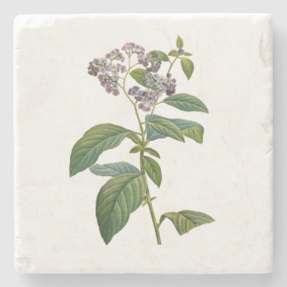 Porta-copo De Pedra Vintage Forget-Me-Not Friendship Love Botanical