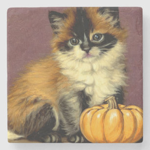 Porta-copo De Pedra Vintage Ragdoll Halloween Cat