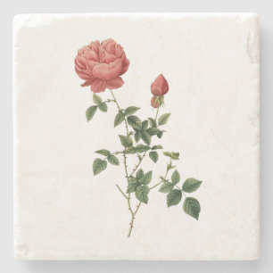 Porta-copo De Pedra Vintage Rosa Vintage Flower Friend Gift