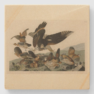 Porta-copo De Pedra Virginian Partridge, As Aves da América de Audubon