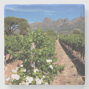 Porta-copo De Pedra Vista de vinhas. Stellenbosch