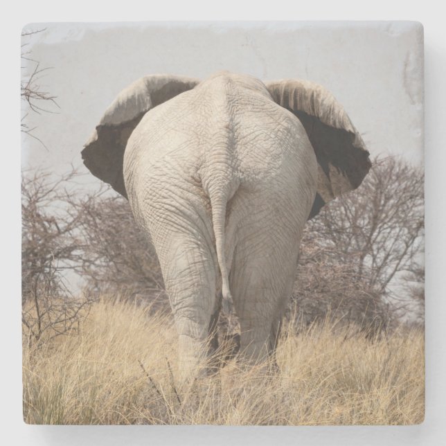 Porta-copo De Pedra Vista traseira do elefante (Frente)