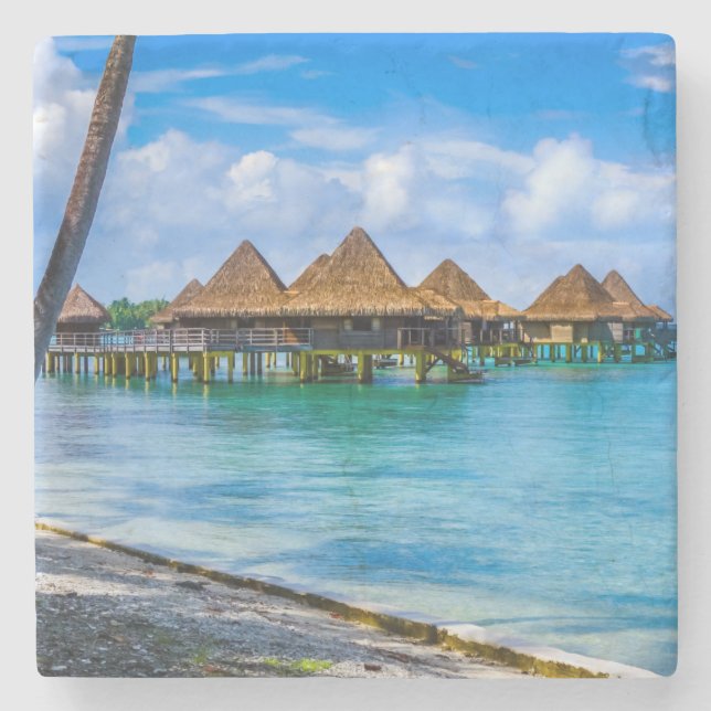 Porta-copo De Pedra Vivendo na água (Frente)