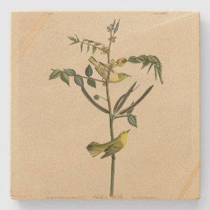 Porta-copo De Pedra Warbler Infantil das Aves da América de Audubon