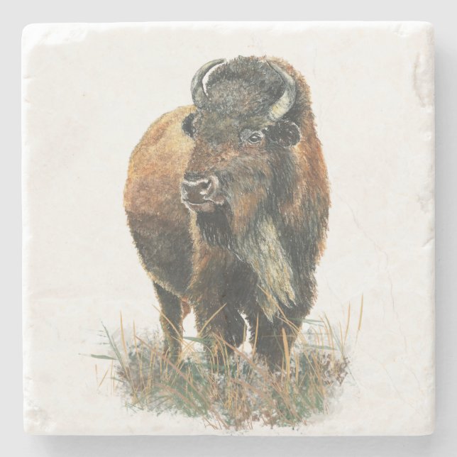 Porta-copo De Pedra Watercolor Bison Buffalo Animal Nature Art (Frente)