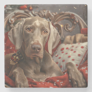Porta-copo De Pedra Weimaraner Cão Festivo de Natal