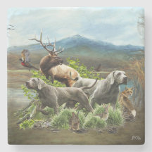 Weimaraner, "Cinza Fantasma"