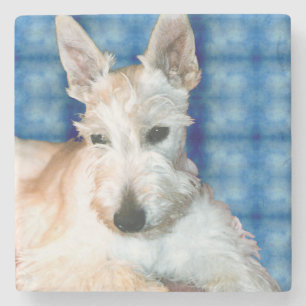 Porta-copo De Pedra Wheaten Scottie Marble Coster