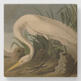 Porta-copo De Pedra White Heron, Egret Excelente, Aves de Audubon da A