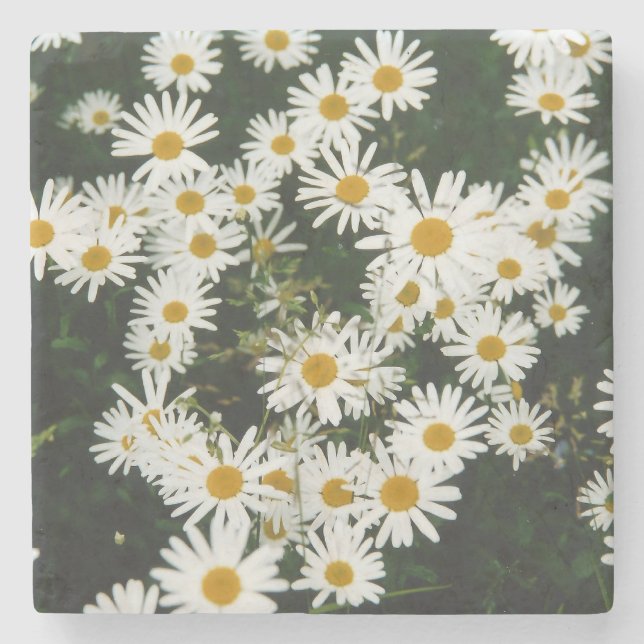 Porta-copo De Pedra White Oxeye Daisy Meadow (Frente)