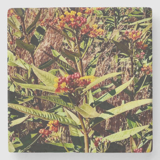 PORTA-COPO DE PEDRA WI WILDFLOWER VERMELHO EM QUEDA