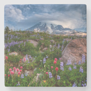 Porta-copo De Pedra Wildflowers